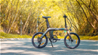 FIIDO D21 Folding Electric Bike 20 Up To 100 km Range - 1 - Thumbnail