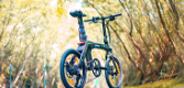 FIIDO D21 Folding Electric Bike 20 Up To 100 km Range - 3 - Thumbnail