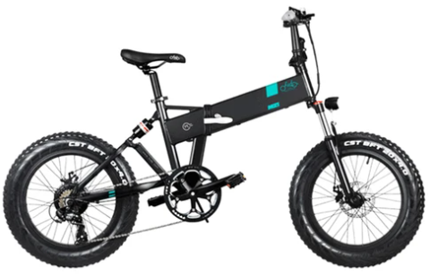 FIIDO M21 Folding Electric Bike 20