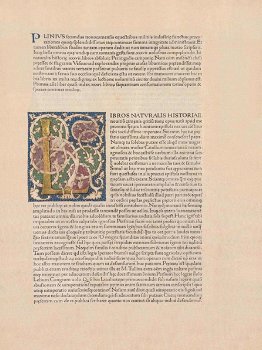 Naturalis Historia by Gaius Plinius Secundus - 2