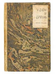 Vision in Spring by William Faulkner