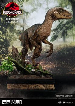 Prime 1 Studio Jurassic Park Velociraptor Closed mouth LMCJP-03LM - 0