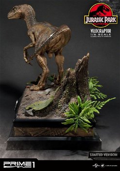 Prime 1 Studio Jurassic Park Velociraptor Closed mouth LMCJP-03LM - 2