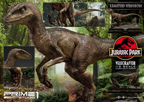 Prime 1 Studio Jurassic Park Velociraptor Closed mouth LMCJP-03LM - 5