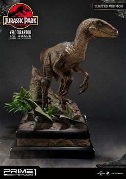 Prime 1 Studio Jurassic Park Velociraptor Closed mouth LMCJP-03LM - 6