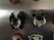 Koelkast magneten, 12 honden als leuke decoratie,magneet - 3 - Thumbnail