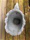 Bloempot Zwaan , kunst steen , zwaan, ploempot - 4 - Thumbnail