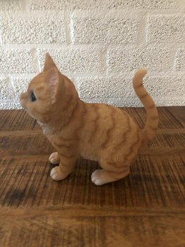 Poesje oranje , polystone , kat poes ,beeld - 0