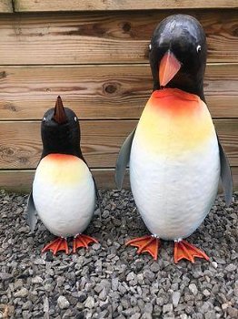 Set van 2 Pinguïns , moeder & jong , pinquns - 6