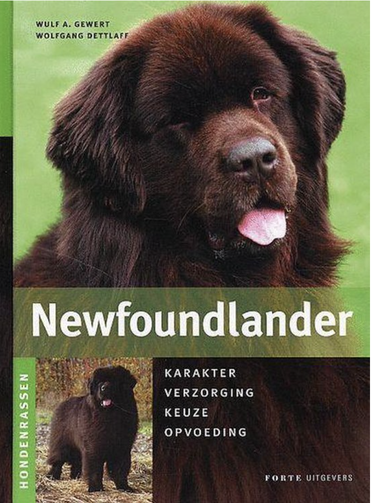 Newfoundlander - nr. 1