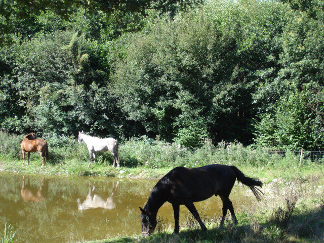 Fijne tussenstop/ overnachting op weg naar....Spanje..... - Afbeelding 6