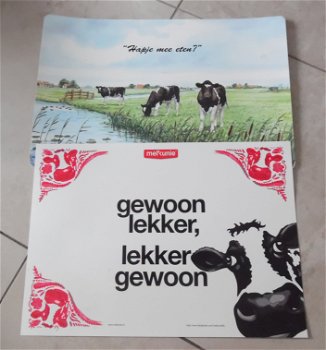 Te koop een complete koeienverzameling. - 6