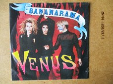 a4084 bananarama - venus