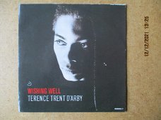 a4146 terence trent darby - wishing well