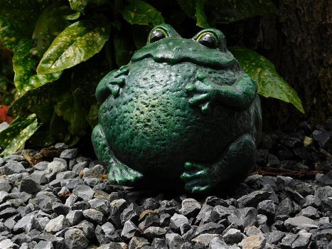 Groot tuinbeeld van een kikker, leuk beeld, groen - 1