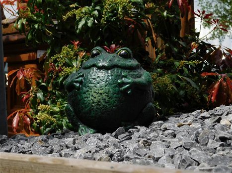Groot tuinbeeld van een kikker, leuk beeld, groen - 3