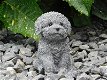 Heel leuk beeldje van een puppy, stenen hondje,hond - 1 - Thumbnail