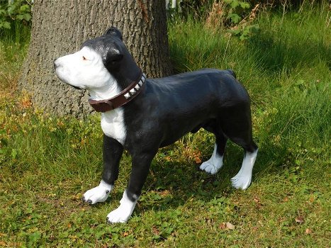 Prachtige Pitbul , van Polystone , hond , kado - 6