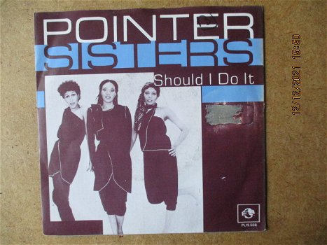 a4462 pointer sisters - should i do it - 0