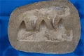 5 tanden van de Mosasaurus - 0 - Thumbnail