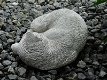 Slapende kat , poes, stenen dierenfiguur ,kat ,poes - 5 - Thumbnail