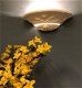 Mooie strakke wandlamp in terracotta steen, art nouveau - 4 - Thumbnail