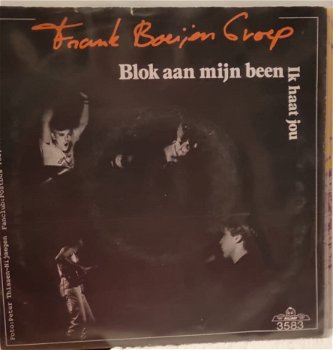 Frank Boeijen Groep - 0