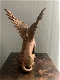 Bulldog beeld met vleugels in brons of zilver op urn als set - 3 - Thumbnail