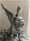 Bulldog beeld met vleugels in brons of zilver op urn als set - 6 - Thumbnail