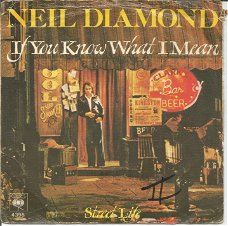 Neil Diamond – If You Know What I Mean  (1976)