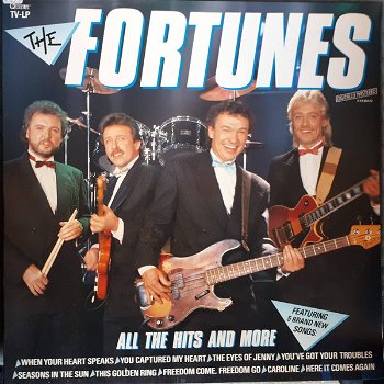 LP - The Fortunes - All the hits and more - 0