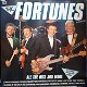 LP - The Fortunes - All the hits and more - 0 - Thumbnail