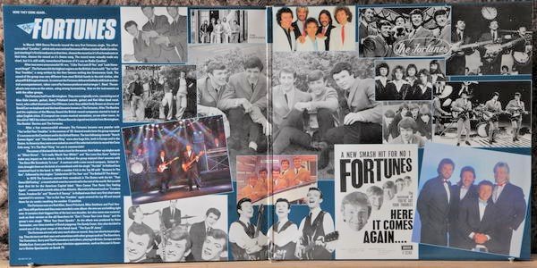 LP - The Fortunes - All the hits and more - 1