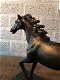 1 paardbeeldhouwwerk , massief gietijzer, brons -look - 2 - Thumbnail