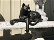 1 sculptuur kat uit Polystein - 1 - Thumbnail