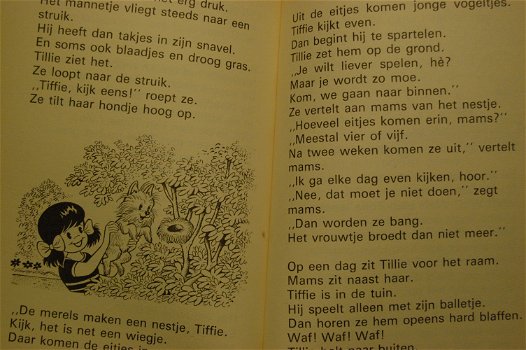 Tillie en Tiffie. 1e boekje - 1