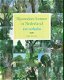Bijzondere bomen in Nederland met 250 verhalen - 0 - Thumbnail