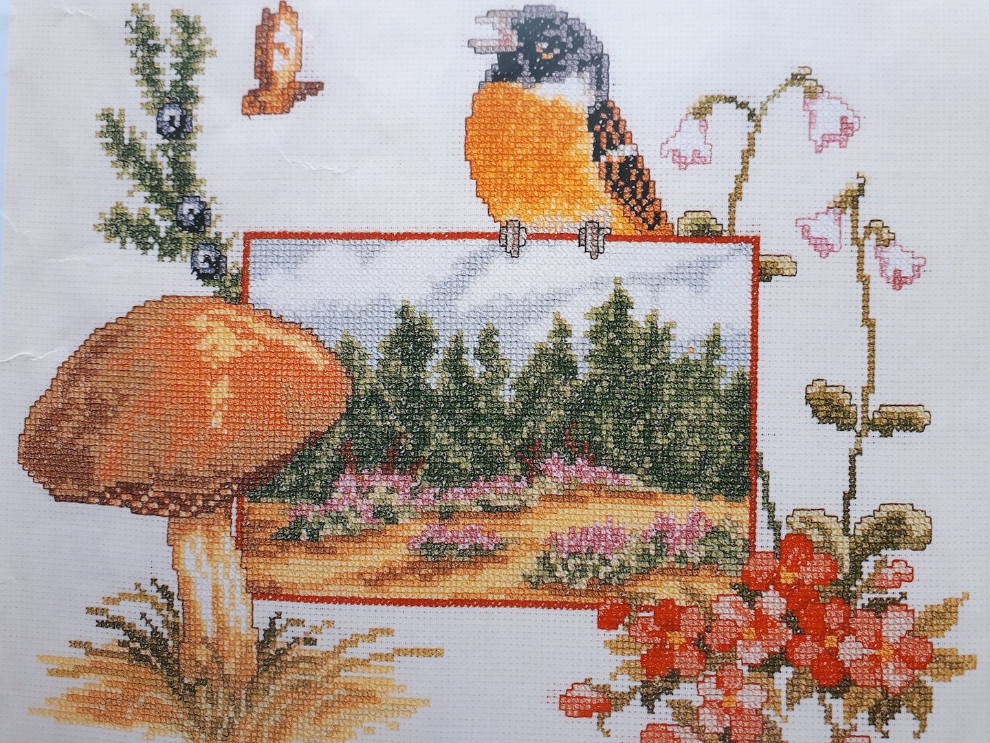 Borduurpakket BOSVREUGDE met ROODBORSTJE NIEUW ! - nr. 1