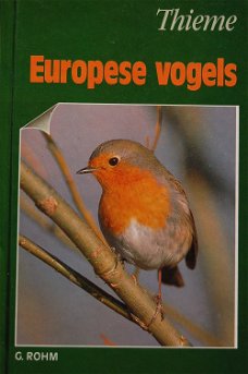 Europese vogels