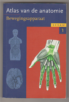 Werner Platzer: Sesam Atlas vd anatomie (1) - Bewegingsapparaat - 0