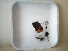 Wit houten schaal Jack Russell hond decoupage