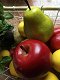 Prachtig echt lijkende appel en peer, zie de foto - 1 - Thumbnail