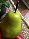 Prachtig echt lijkende appel en peer, zie de foto - 2 - Thumbnail