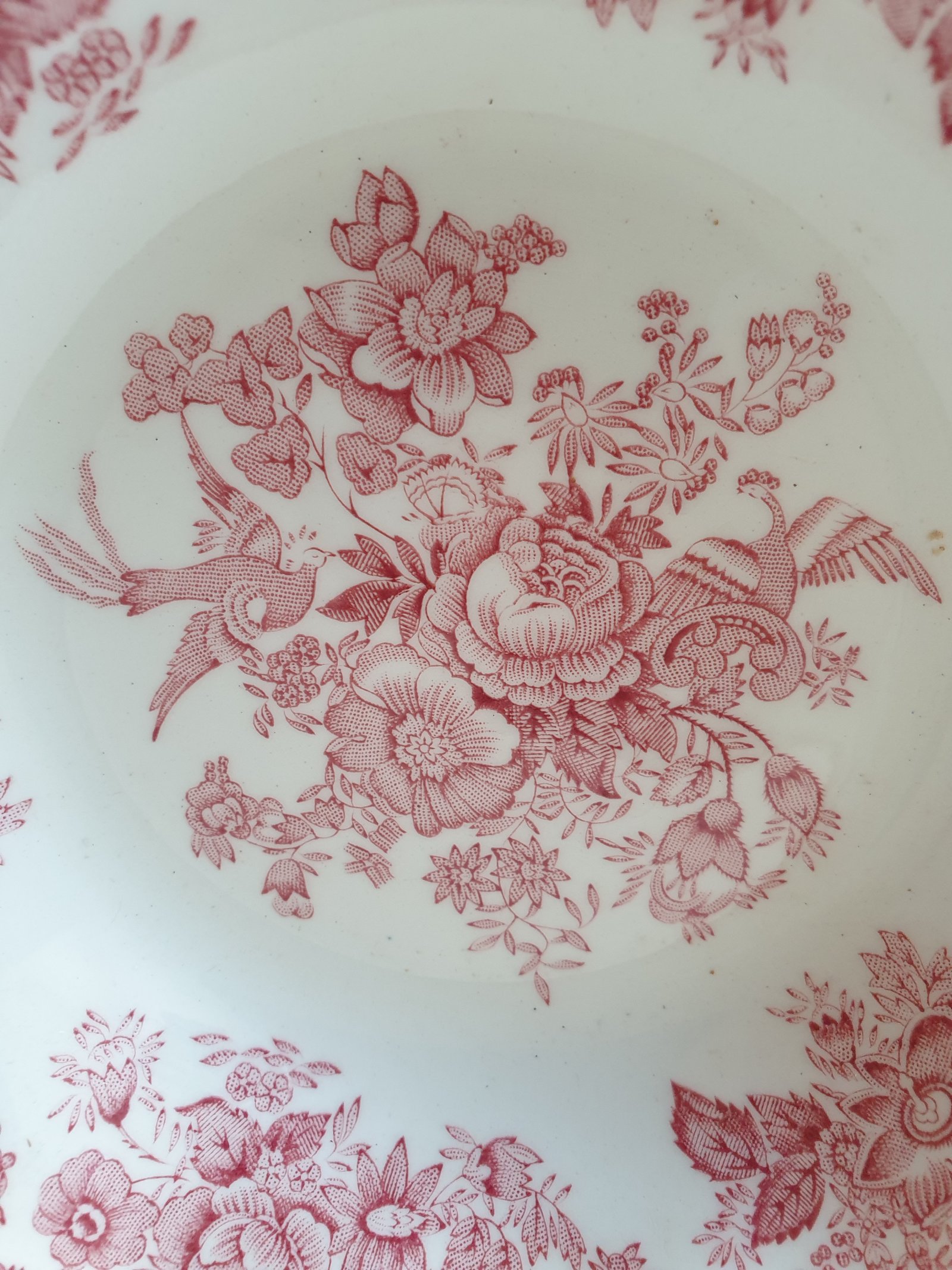 Dit ~ schaaltje ~ kan je niet verbloemen - Afbeelding 3