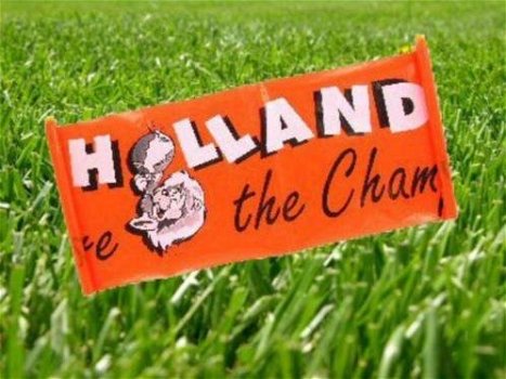 Oranje banners - 0