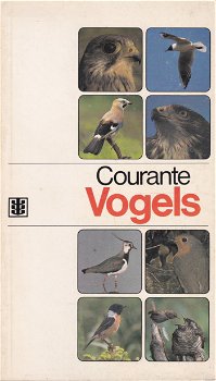 Courante Vogels - 0