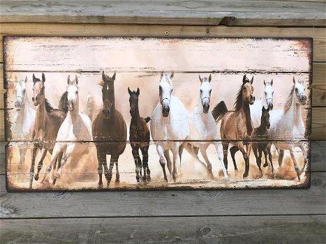 Groot wandbord met daarop 11 prachtige paarden , paard. - 0