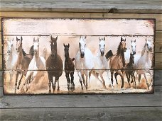 Groot wandbord met daarop 11 prachtige paarden , paard.