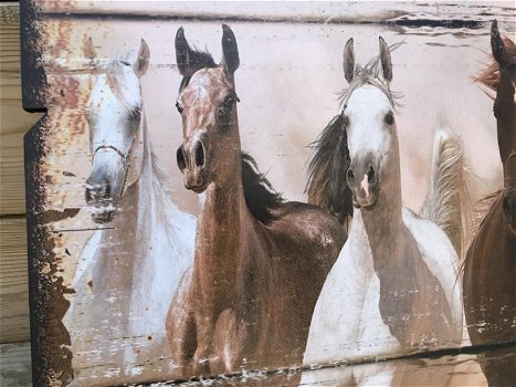 Groot wandbord met daarop 11 prachtige paarden , paard. - 1