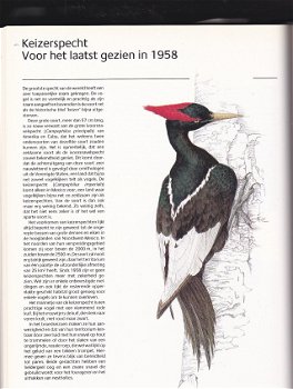 Ruimte voor de vogels - 2